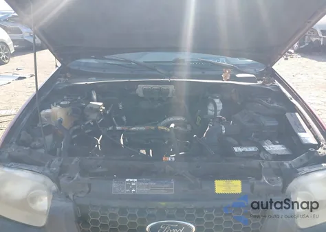 2005 Ford Escape Xlt z USA, uszkodzony, nr VIN 1FMYU03Z75KC44205